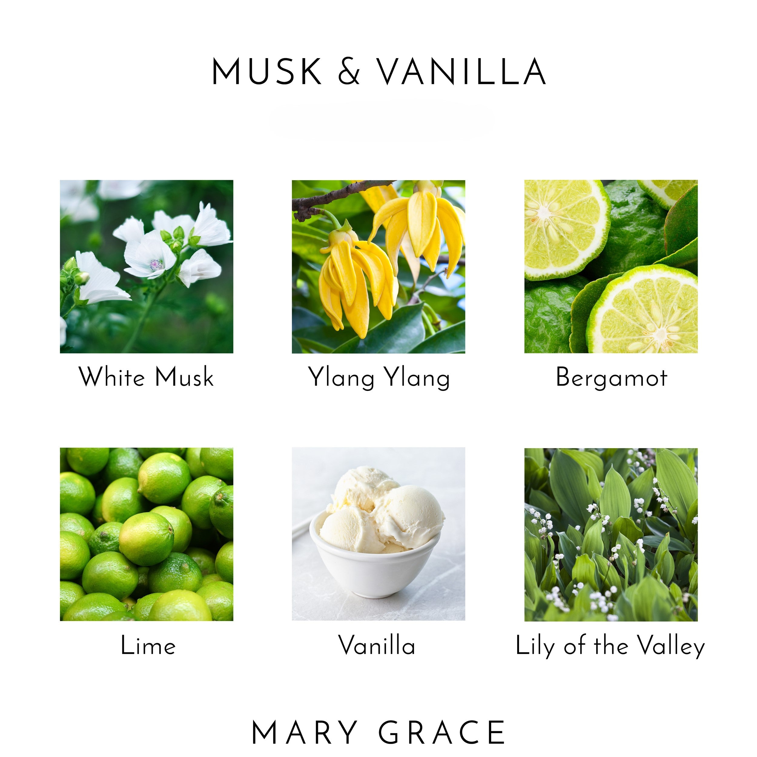 Musk & Vanilla Diffuser Refill (4 Pack)